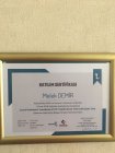 Psk. Melek Demir Psikoloji sertifikası