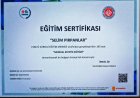 Op. Dr. Selim Pırpanlar Kadın Hastalıkları ve Doğum sertifikası