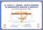 Op. Dr. Tevfik Uğur Sipahi Kadın Hastalıkları ve Doğum sertifikası
