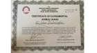 Doç. Dr. Emine Nur Rifaioğlu Dermatoloji sertifikası