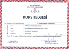 Uzm. Kl. Psk. Aylin Şanver Aydın Psikoloji sertifikası
