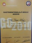 Uzm. Dr. Ali Kaya Ersoy Dahiliye - İç Hastalıkları sertifikası