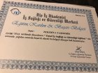 Uzm. Dr. Dt. Zekeriya Taşdemir Diş Hekimi sertifikası