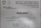 Op. Dr. Mustafa Derda Kaya Kadın Hastalıkları ve Doğum sertifikası