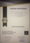 Psk. Cemre Damlacık Psikoloji sertifikası