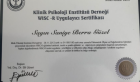 Psk. Saniye Berra Güzel Yaşar Psikoloji sertifikası