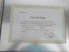 Prof. Dr. M. Özgür Sayın Diş Hekimi sertifikası