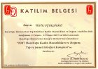 Op. Dr. Tevfik Uğur Sipahi Kadın Hastalıkları ve Doğum sertifikası