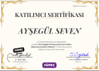 Psk. Ayşegül Seven Psikoloji sertifikası