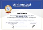 Psk. Öykü Gündüz Psikoloji sertifikası