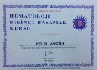 Uzm. Dr. Pelin Akgün Gerçek Çocuk Sağlığı ve Hastalıkları sertifikası