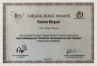 Dr. Dt. Akın Pişiren Diş Hekimi sertifikası