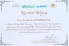 Prof. Dr. Furkan Erol Karabekmez Plastik Rekonstrüktif ve Estetik Cerrahi sertifikası