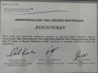 Aile Danışmanı Aysun Turan Aile Danışmanı sertifikası
