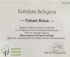 Uzm. Psk. Dan. Canan Kırca Psikolojik Danışman sertifikası