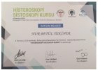 Op. Dr. Nur Betül Tekiner Kadın Hastalıkları ve Doğum sertifikası