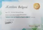 Dt. Yonca Ertaş Diş Hekimi sertifikası