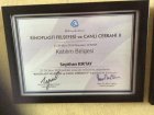 Op. Dr. Seyithan Kırtay Kulak Burun Boğaz hastalıkları - KBB sertifikası