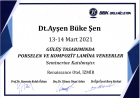 Dt. Ayşen Büke Şen Diş Hekimi sertifikası