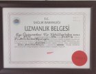 Op. Dr. Aziz Serkan Topaloğlu Göz Hastalıkları sertifikası