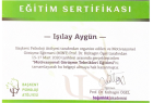 Uzm. Kl. Psk. Işılay Aygün Psikoloji sertifikası