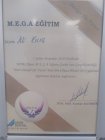 Dt. Ali Kılıç Diş Hekimi sertifikası