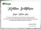 Uzm. Psk. Dan. Kübra İpçi Psikoloji sertifikası