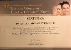 Doç. Dr. Atilla Adnan Eyüboğlu Plastik Rekonstrüktif ve Estetik Cerrahi sertifikası
