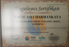 Psk. Aslı Harmankaya Psikoloji sertifikası