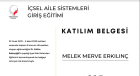 Klinik Psikolog  Melek Merve Erkılınç Gül Psikoloji sertifikası
