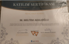 Op. Dr. Medine Meltem Adalıoğlu Kadın Hastalıkları ve Doğum sertifikası