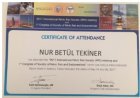 Op. Dr. Nur Betül Tekiner Kadın Hastalıkları ve Doğum sertifikası