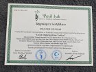 Çocuk Gelişim Uzmanı Nisa Nur Uzunlar Çocuk Gelişim Uzmanı sertifikası