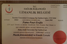 Dr. Pınar Eroğlu Ulusoy Plastik Rekonstrüktif ve Estetik Cerrahi sertifikası
