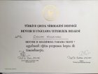 Doç. Dr. Canan Kocaman Çocuk Sağlığı ve Hastalıkları sertifikası
