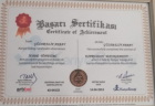 Psk. Dan. Elif Akbay Psikoloji sertifikası