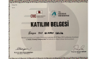 Uzm. Kl. Psk. Ali Ruhan Çelik Psikoloji sertifikası