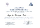 Dr. Sümeyye Taş Akupunktur sertifikası