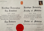 Prof. Dr. Başak Yalçın Dermatoloji sertifikası