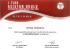 Doç. Dr. Bora Coskun Kadın Hastalıkları ve Doğum sertifikası