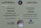 Dyt. Kübra Demir Diyetisyen sertifikası
