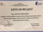 Dr. Öğr. Üyesi Hediye Dağdeviren Kadın Hastalıkları ve Doğum sertifikası