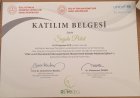 Psk. Dan. Şeyda Polat Psikolojik Danışman sertifikası