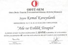 Psikoterapist Tayfun Kemal Karayılanlı Aile Danışmanı sertifikası