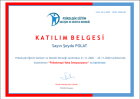 Psk. Dan. Şeyda Polat Psikolojik Danışman sertifikası