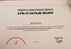 Psk. Dan. Şeyda Polat Psikolojik Danışman sertifikası