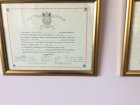 Prof. Dr. Eray Copcu Plastik Rekonstrüktif ve Estetik Cerrahi sertifikası