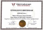 Psk. Gizem Pala Psikoloji sertifikası