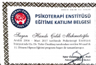 Psikoterapist Hande Çelik Mehmetoğlu Aile Danışmanı sertifikası
