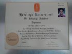 Prof. Dr. M. Özgür Sayın Diş Hekimi sertifikası